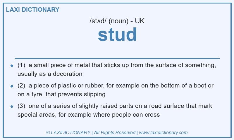 Definition stud in British English