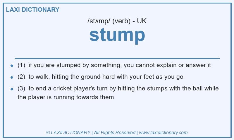 Definition stump in British English