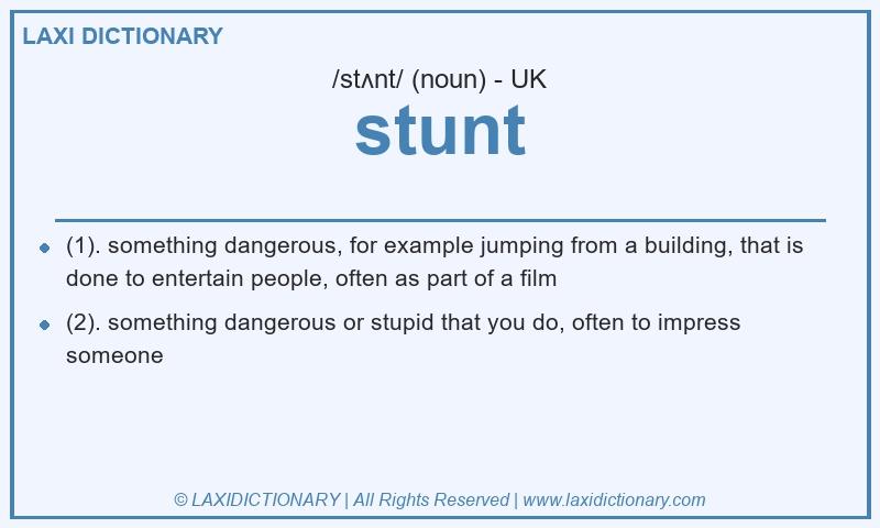 Definition stunt in British English