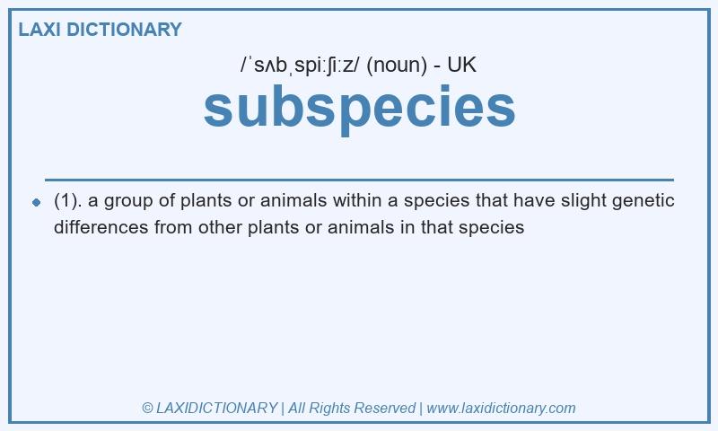 Definition subspecies in British English