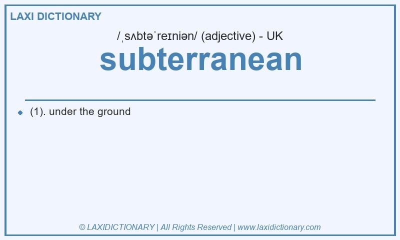 Definition subterranean in British English