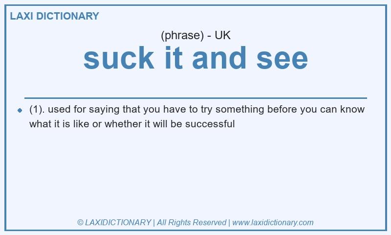 Definition suck it and see in British English