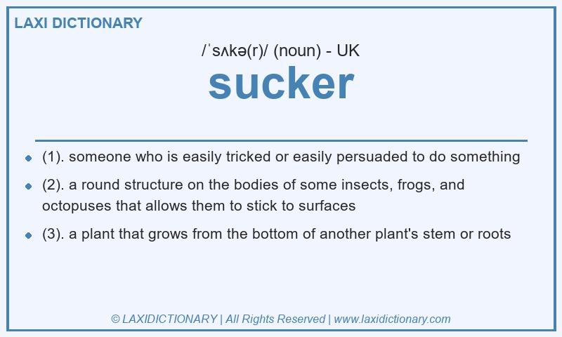 Definition sucker in British English