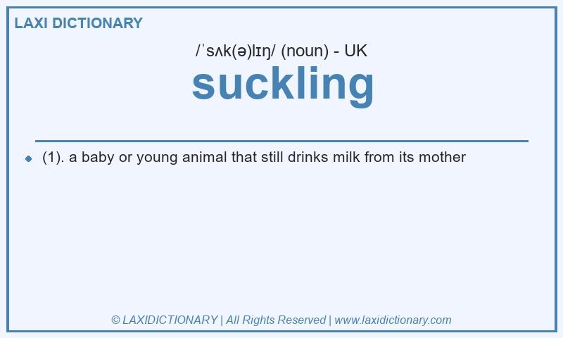Definition suckling in British English