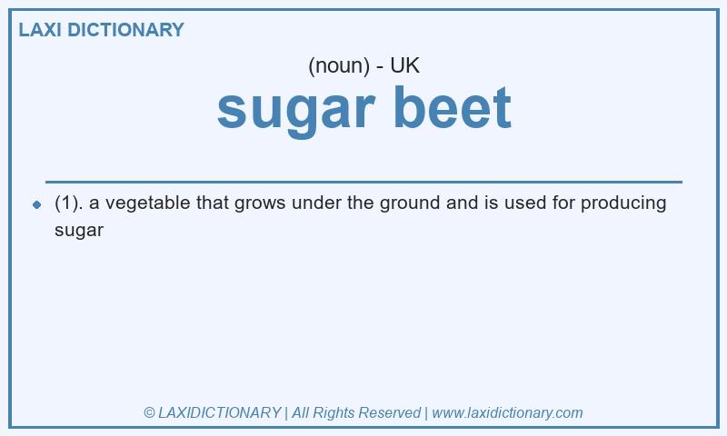 Definition sugar beet in British English