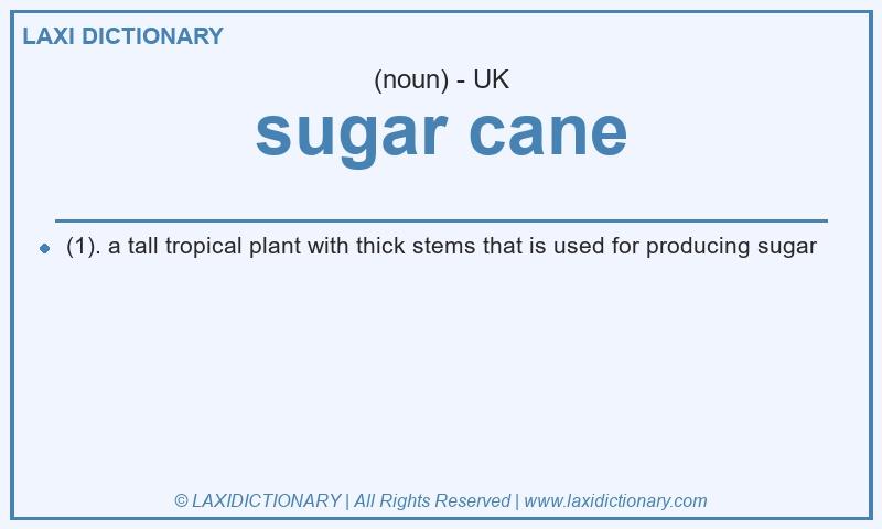 Definition sugar cane in British English