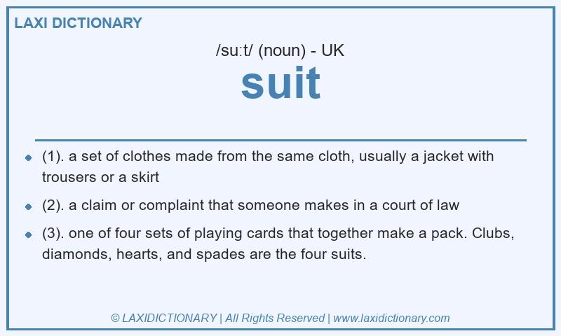 Definition suit in British English