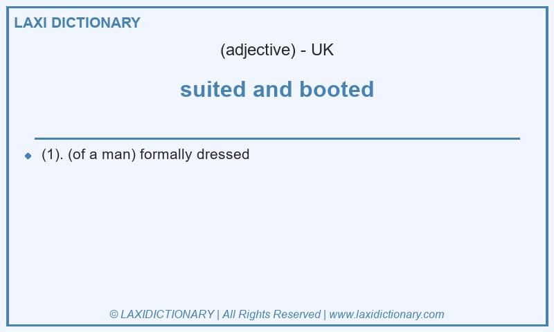Definition suited and booted in British English