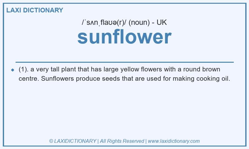 Definition sunflower in British English