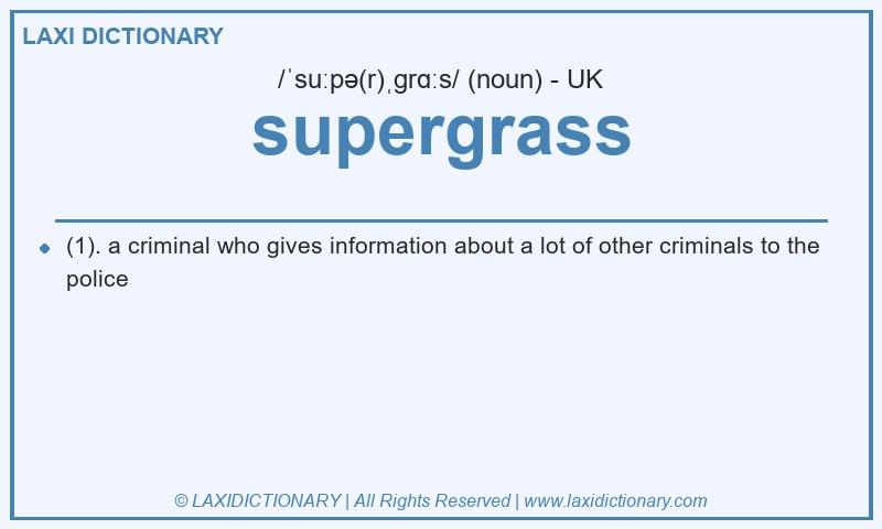 Definition supergrass in British English