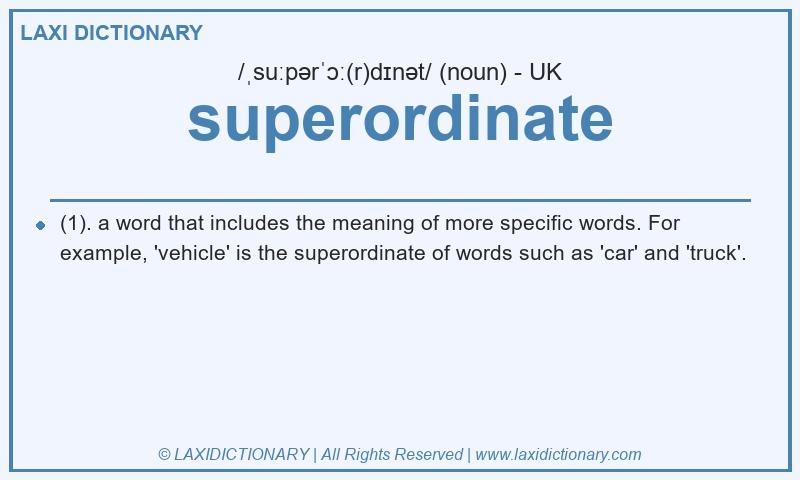 Definition superordinate in British English