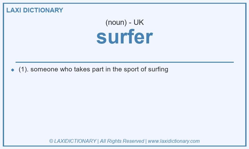 Definition surfer in British English
