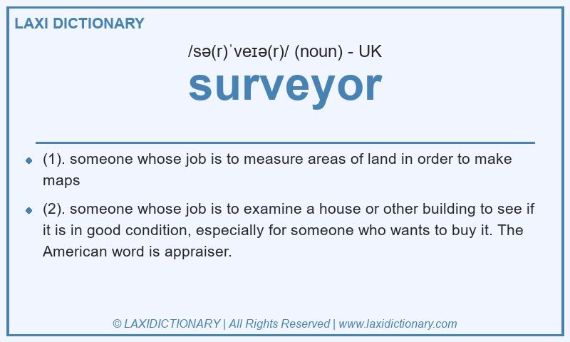 Definition surveyor in British English