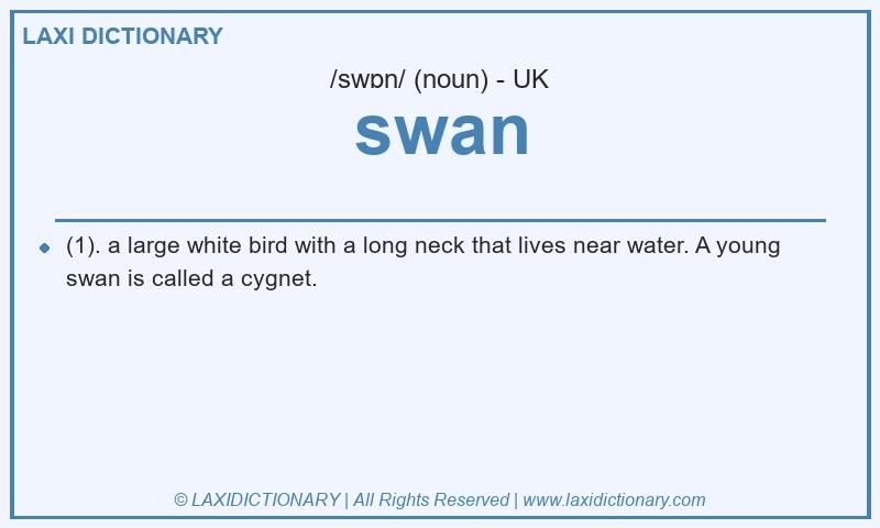 Definition swan in British English