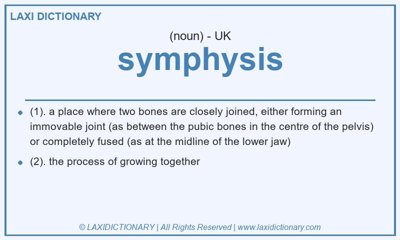 Definition symphysis in British English