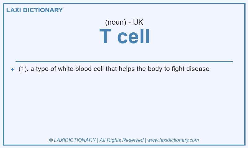 Definition T cell in British English