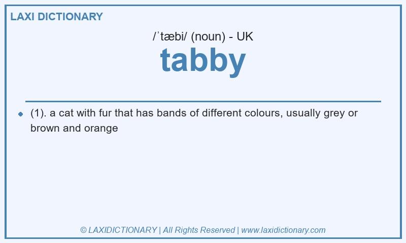 Definition tabby in British English
