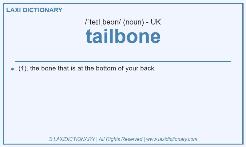 Definition tailbone in British English