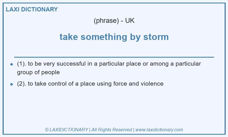 Definition take something by storm in British English