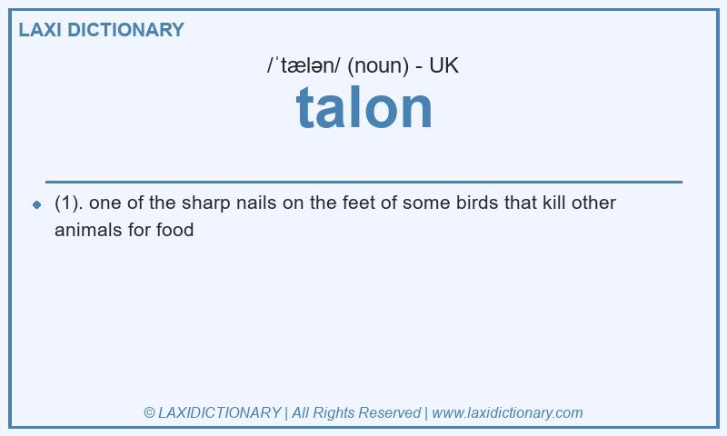 Definition talon in British English