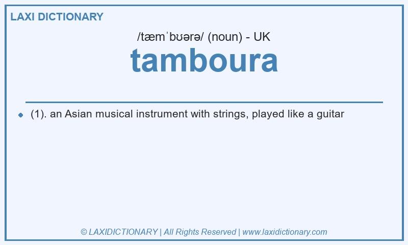 Definition tamboura in British English