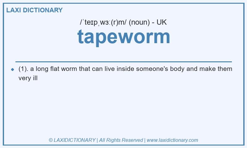 Definition tapeworm in British English