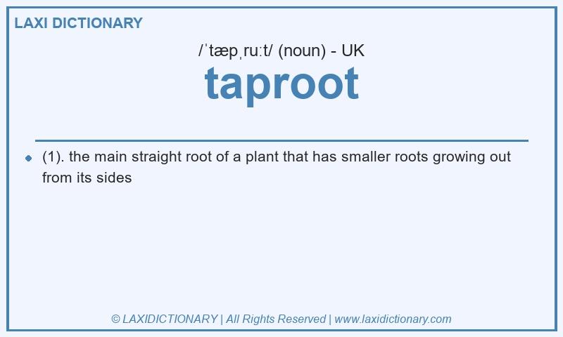 Definition taproot in British English