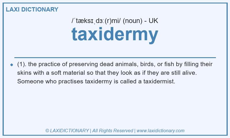 Definition taxidermy in British English