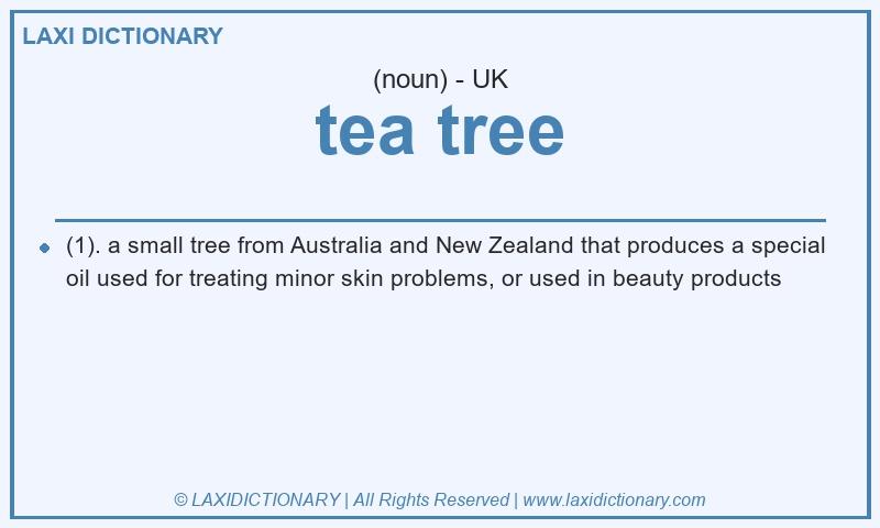 Definition tea tree in British English