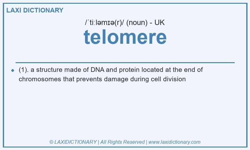 Definition telomere in British English