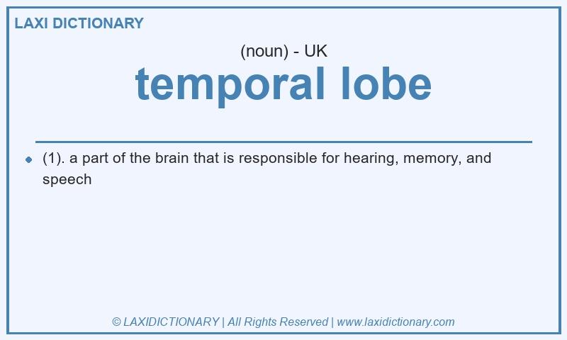 Definition temporal lobe in British English