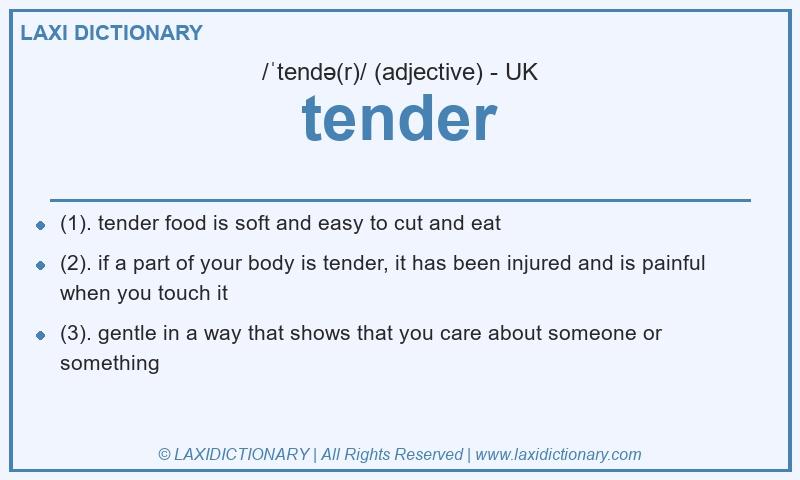 Definition tender in British English