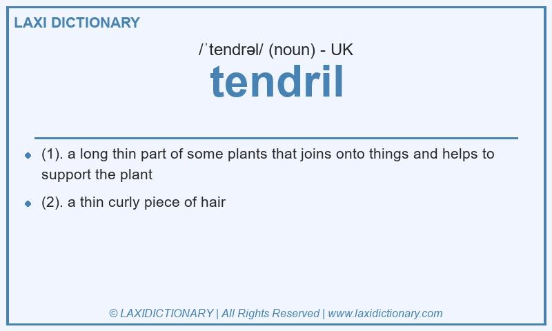Definition tendril in British English