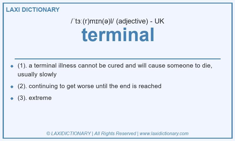 Definition terminal in British English
