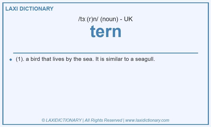 Definition tern in British English