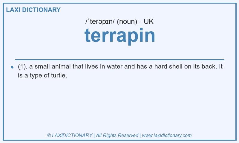 Definition terrapin in British English