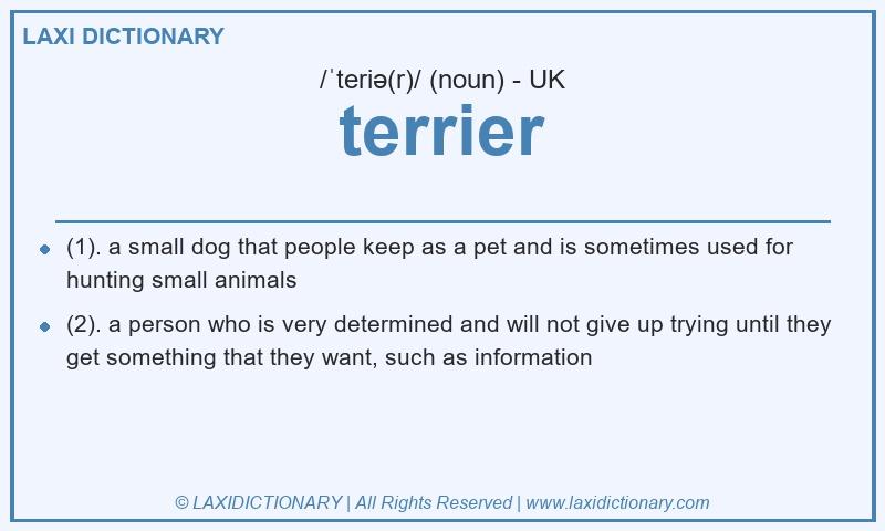 Definition terrier in British English