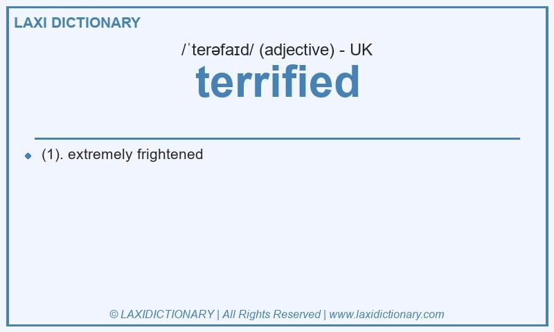 Definition terrified in British English