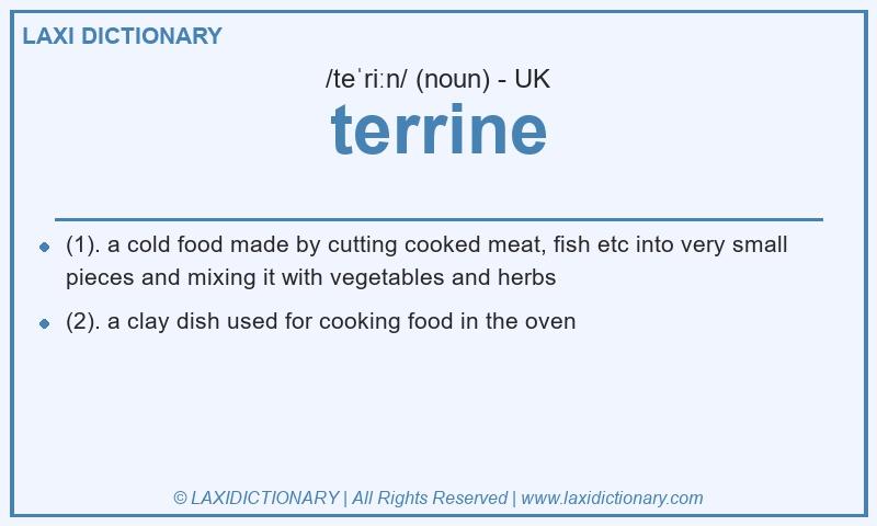 Definition terrine in British English