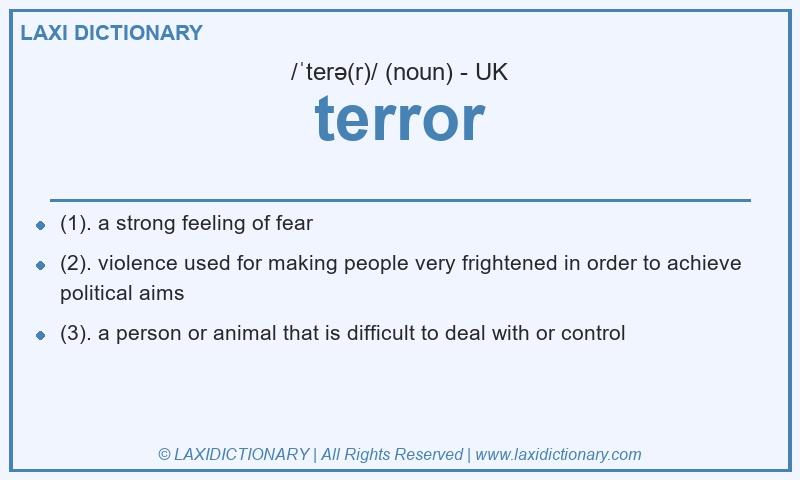Definition terror in British English