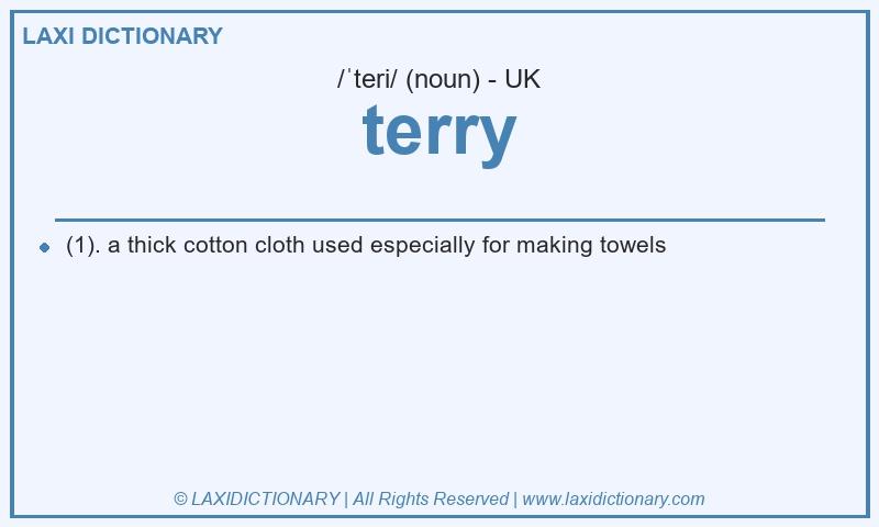 Definition terry in British English