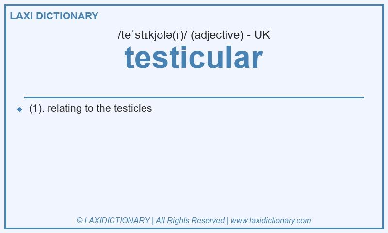 Definition testicular in British English
