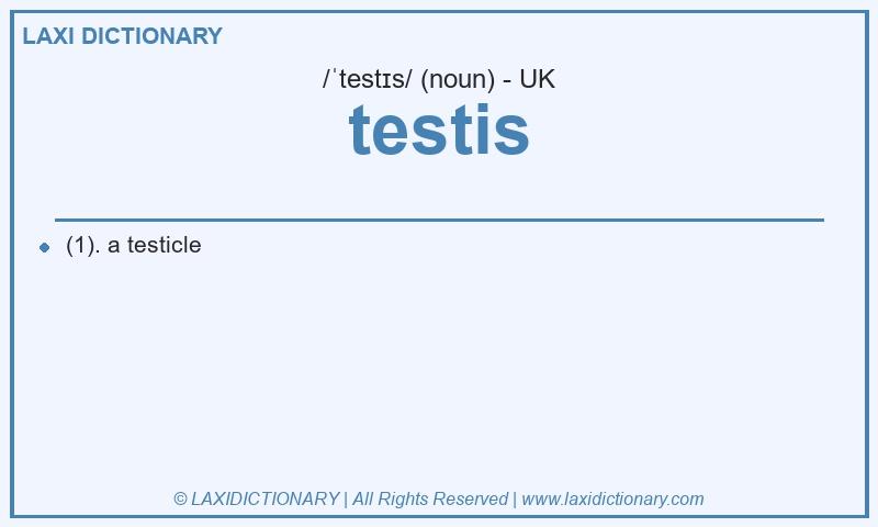 Definition testis in British English