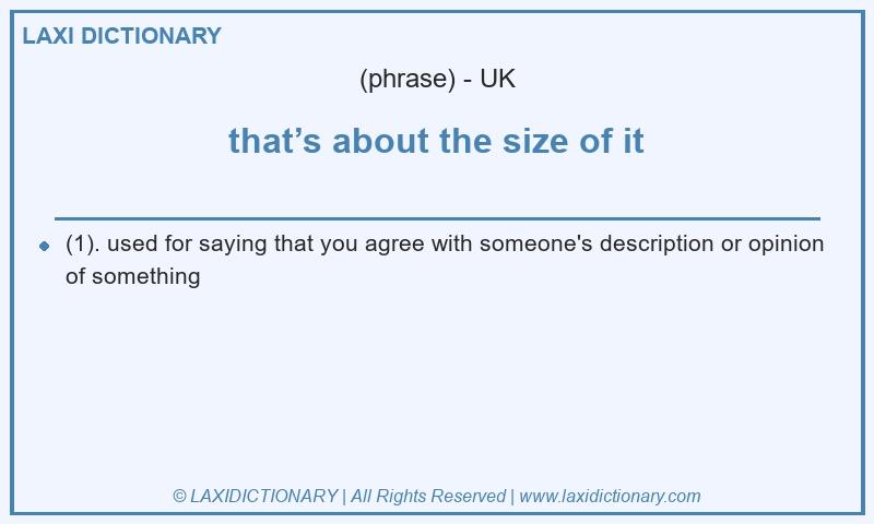 Definition that’s about the size of it in British English