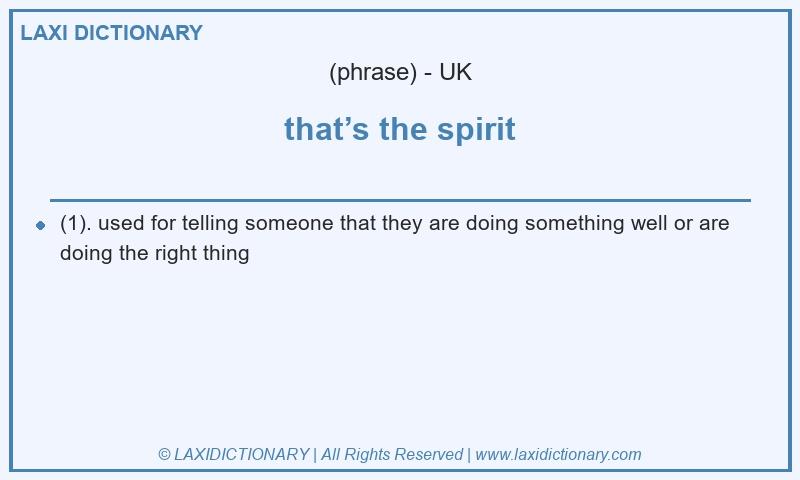 Definition that’s the spirit in British English