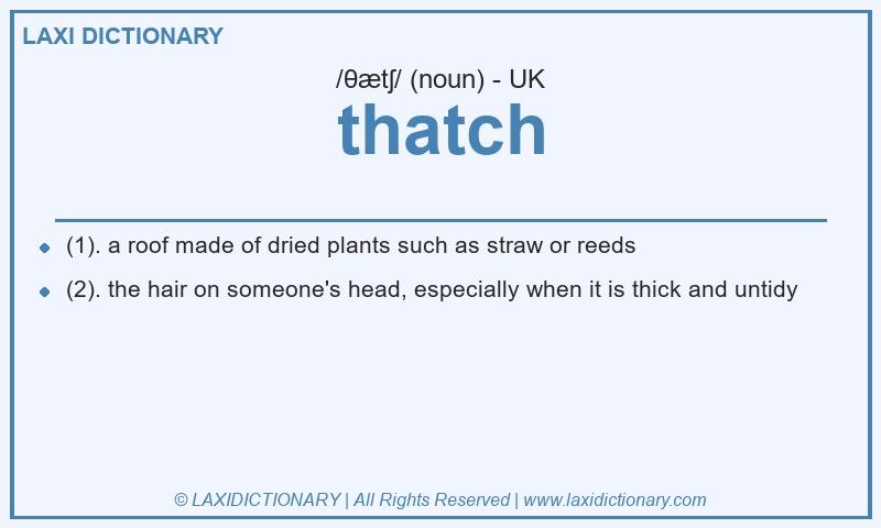 Definition thatch in British English