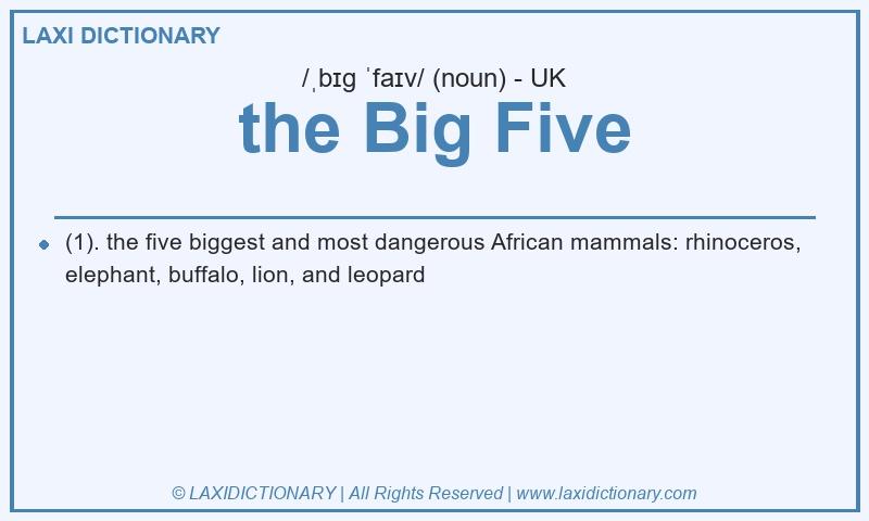 Definition the Big Five in British English