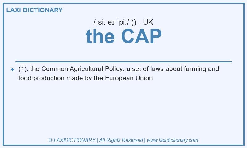 Definition the CAP in British English