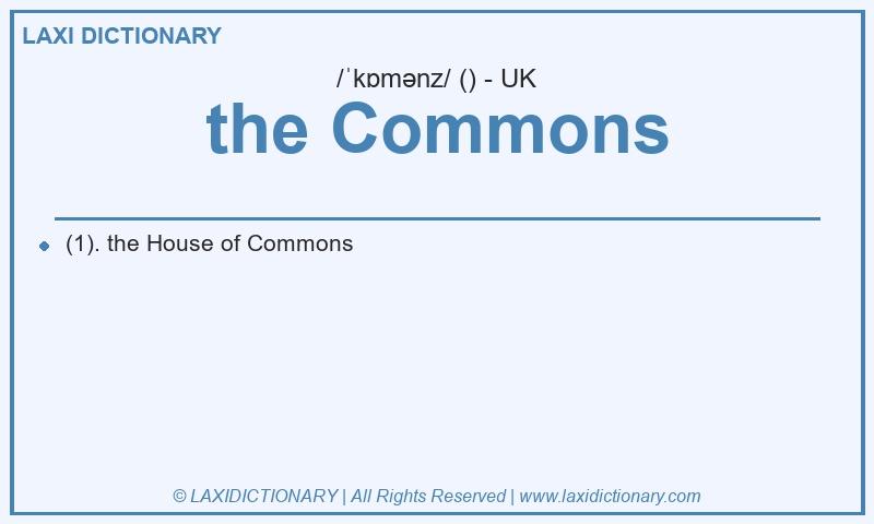 Definition the Commons in British English