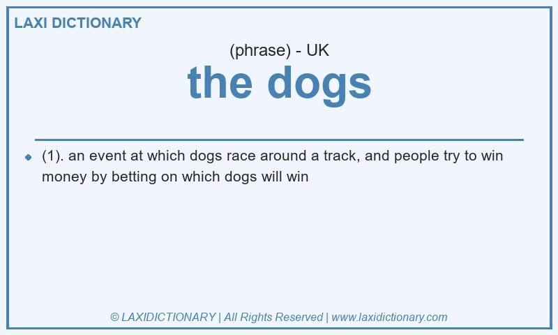 Definition the dogs in British English